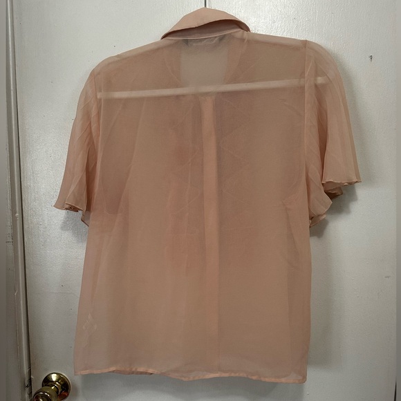Sheer Pink Zara Blouse - Picture 3 of 7